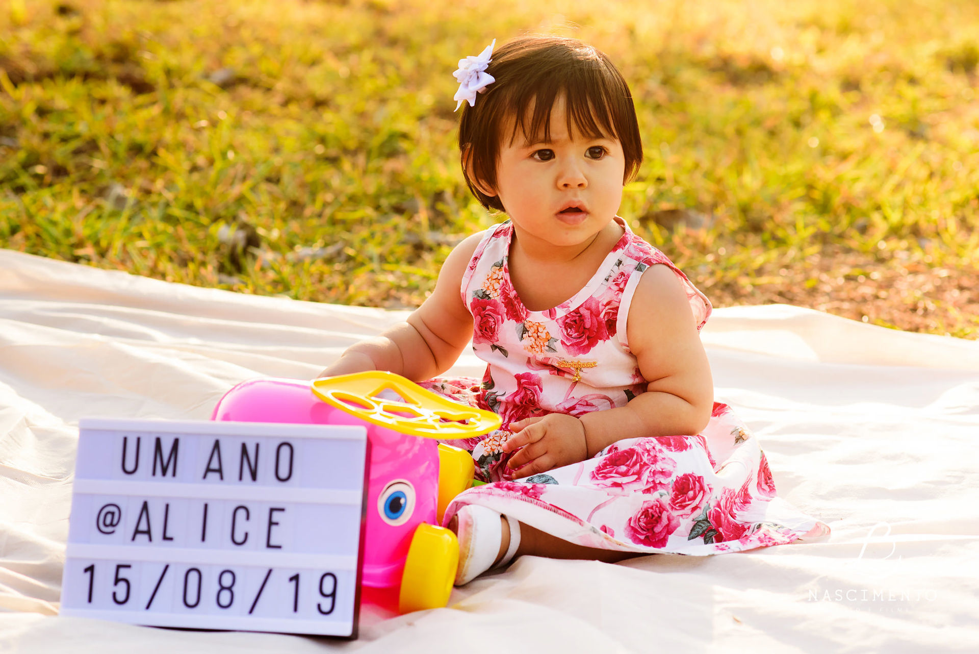 Foto Ensaio 1 ano Alice Foto Ensaio 1 ano Alice - Imagem 20