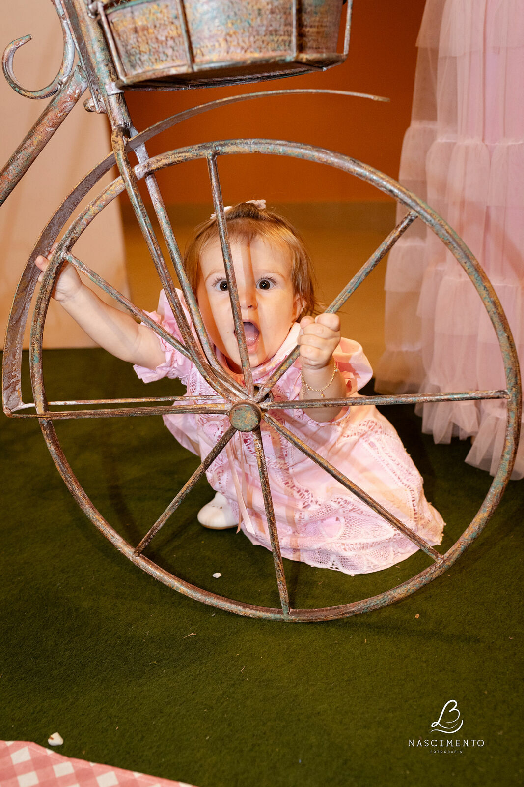 Foto 1 ano Alice / Lepetipolá - Imagem 34