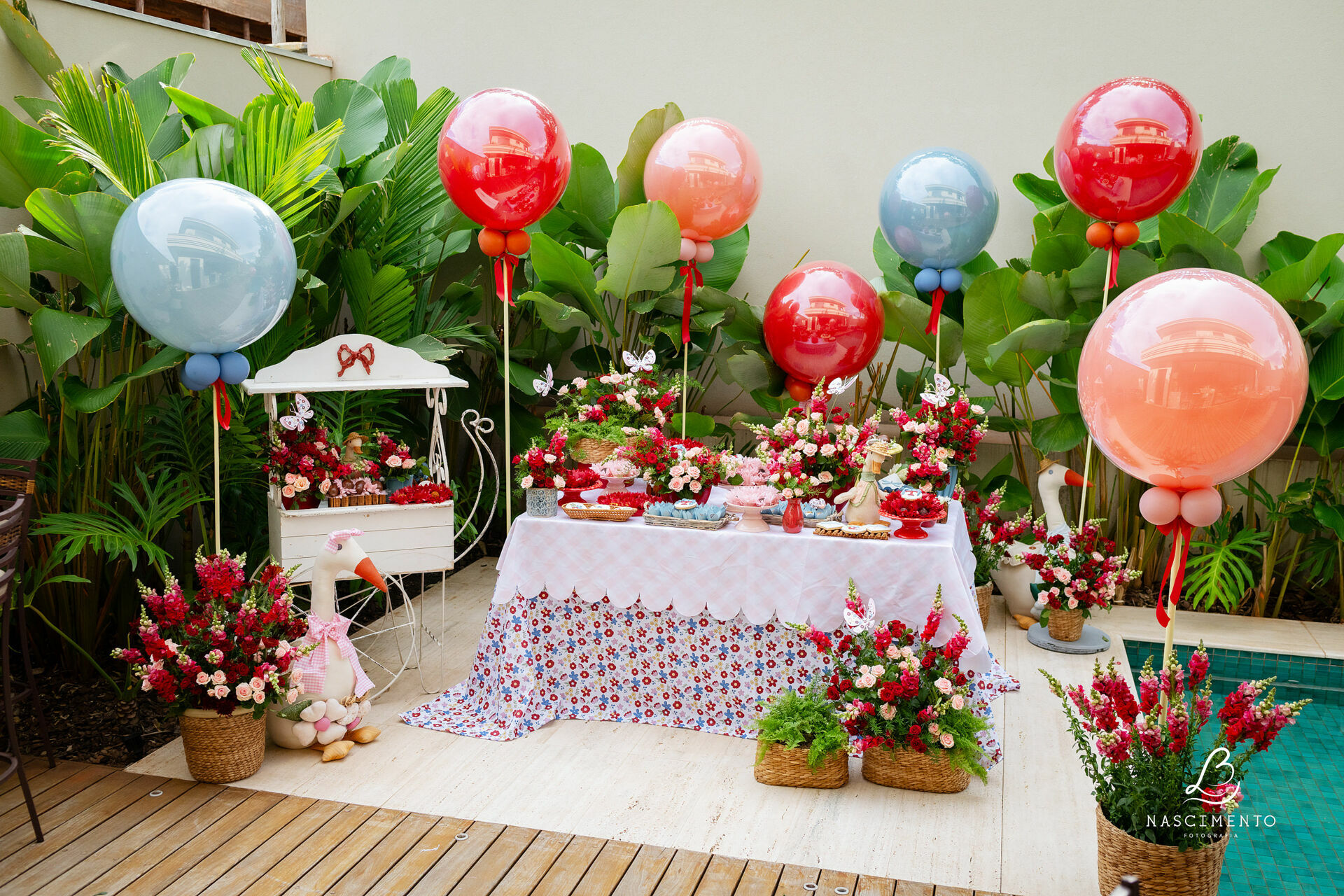 Foto 1 ano Teresa - Imagem 1