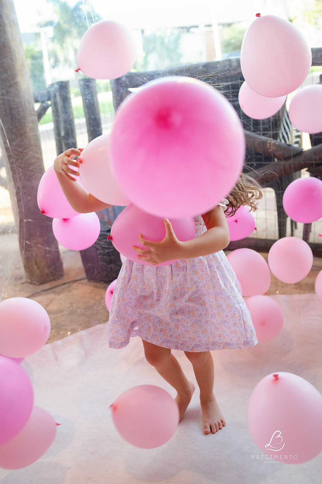 Foto 4 anos Ana Brum Foto 4 anos Ana Brum - Imagem 7