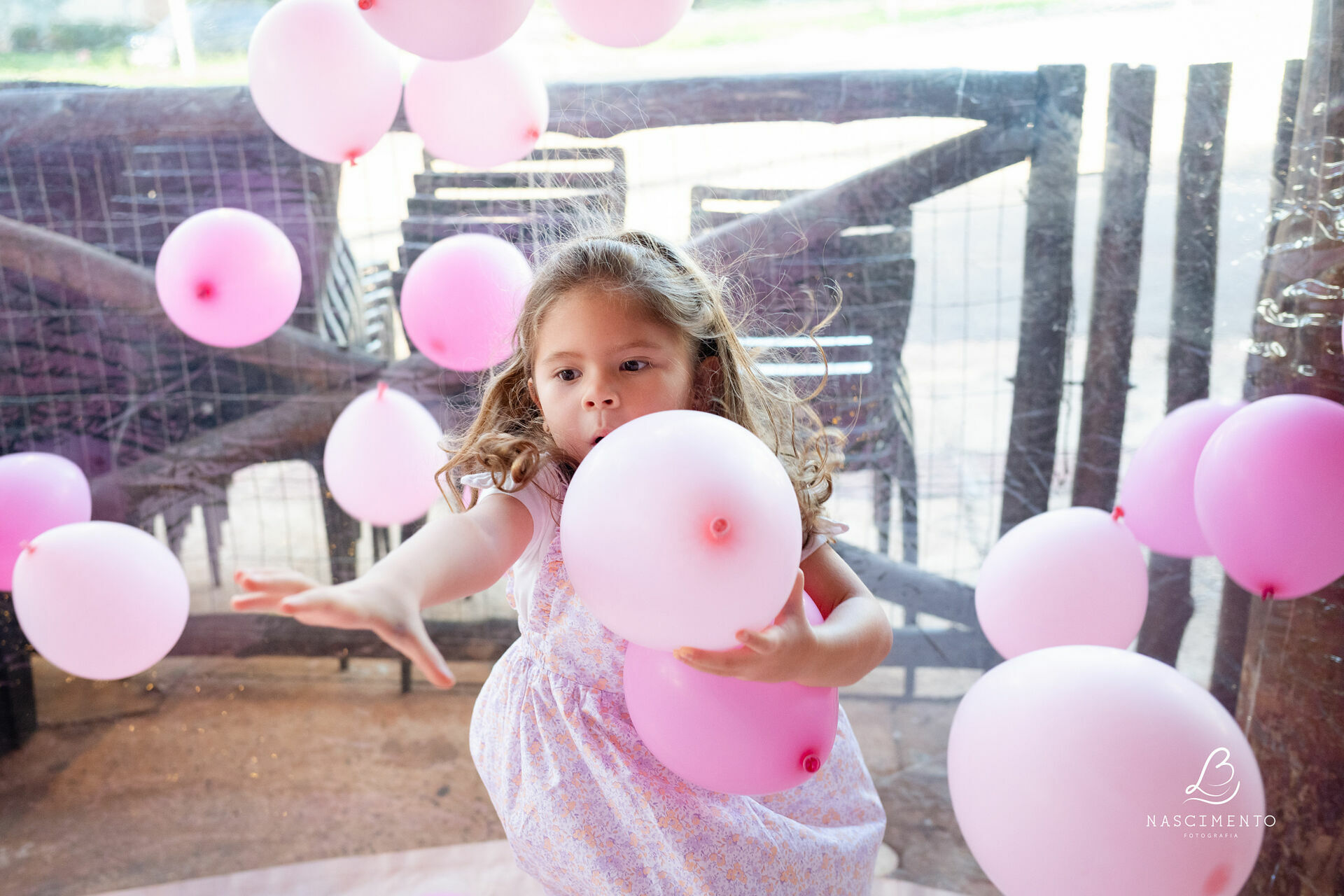 Foto 4 anos Ana Brum Foto 4 anos Ana Brum - Imagem 9