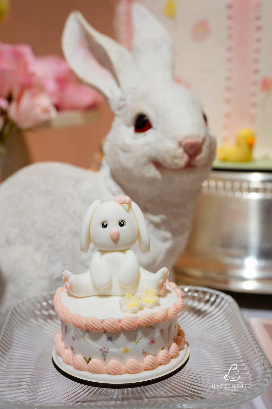 Foto 2 anos Celine - Imagem 7