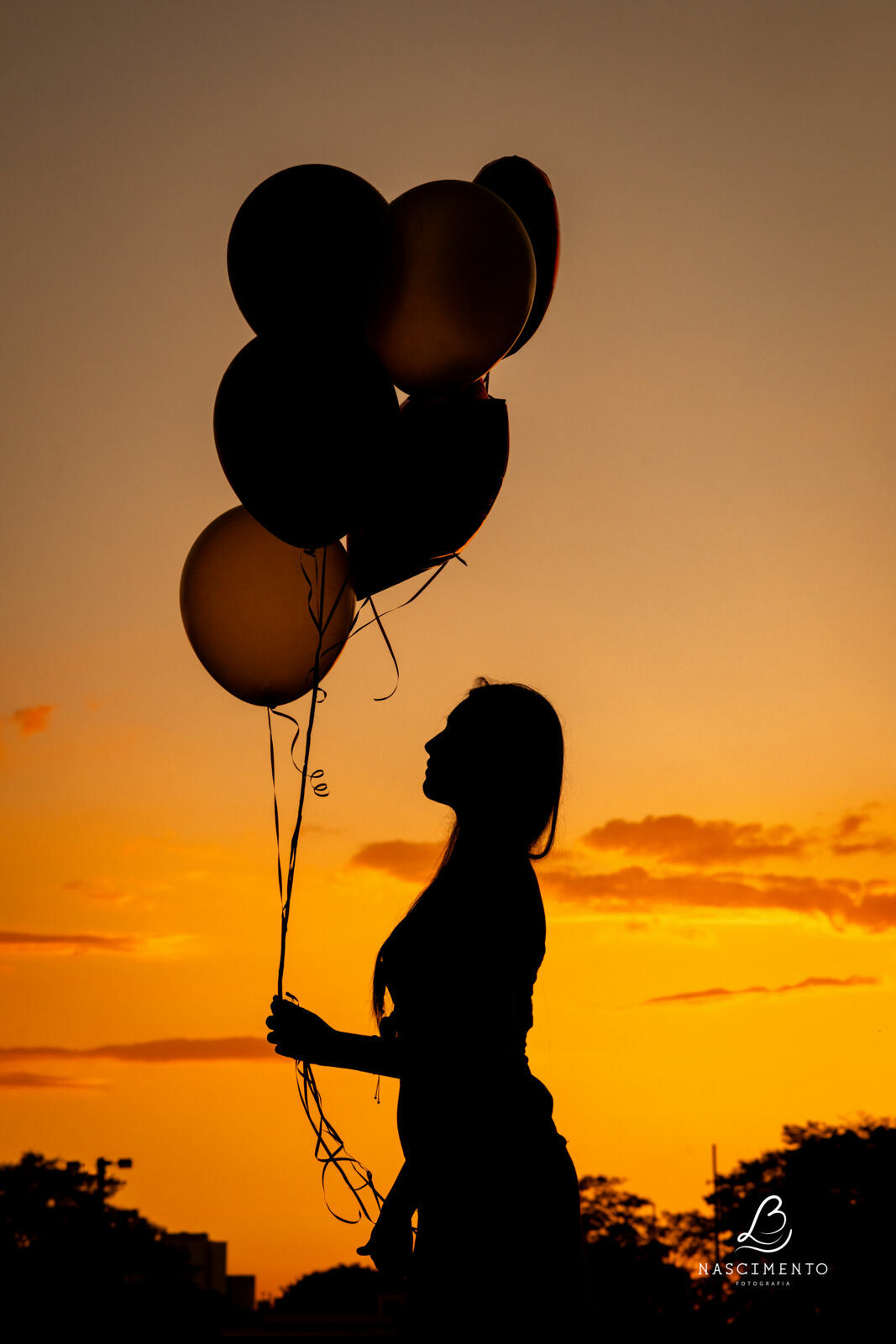 Foto Ensaio 15 anos Isadora  - Imagem 27
