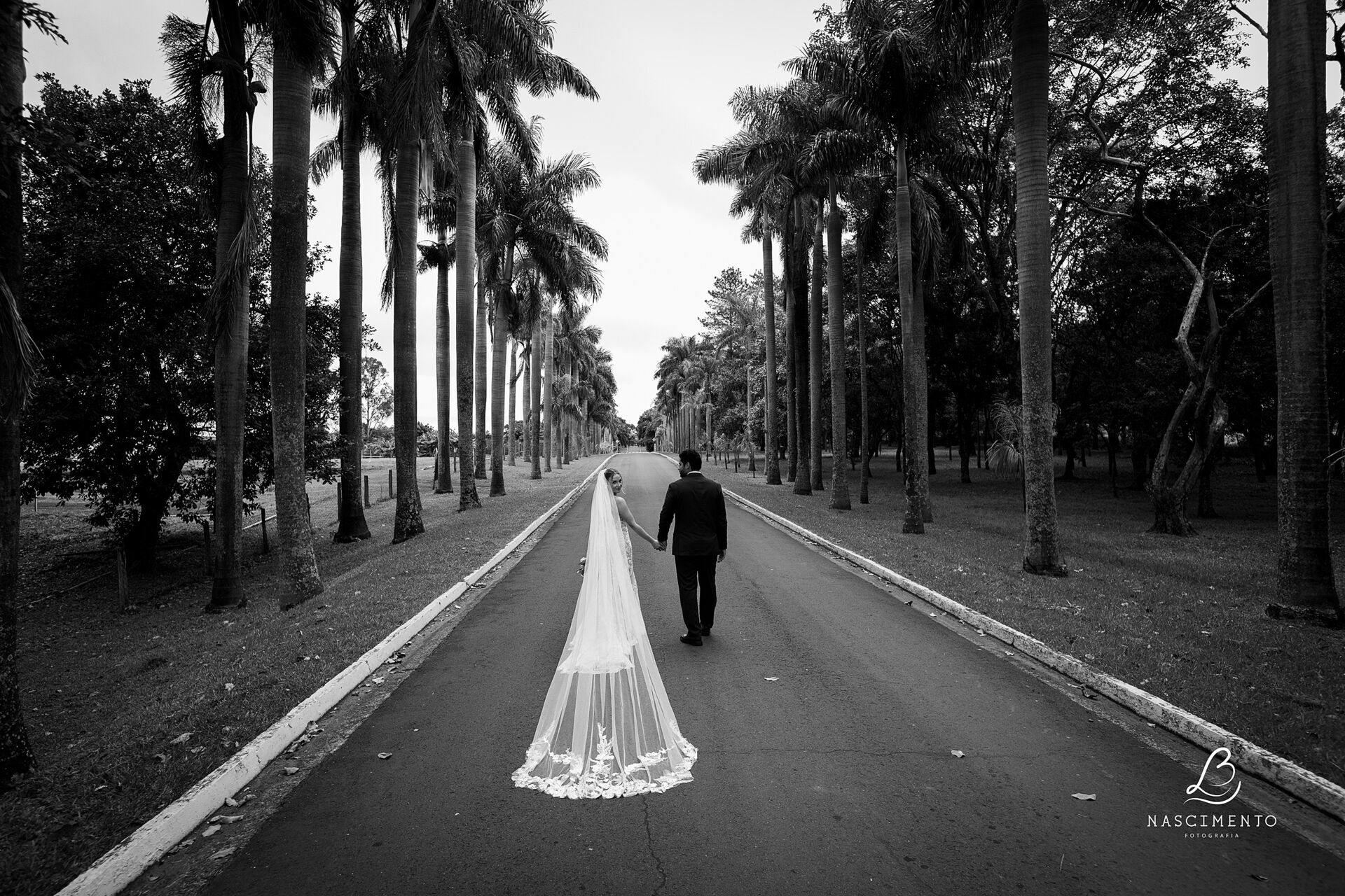 Foto Casamento Bárbara e Diego Foto Casamento Bárbara e Diego - Imagem 49